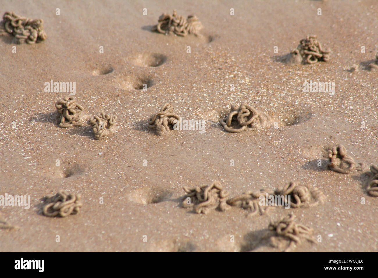 Beach sand holes hires stock photography and images Alamy