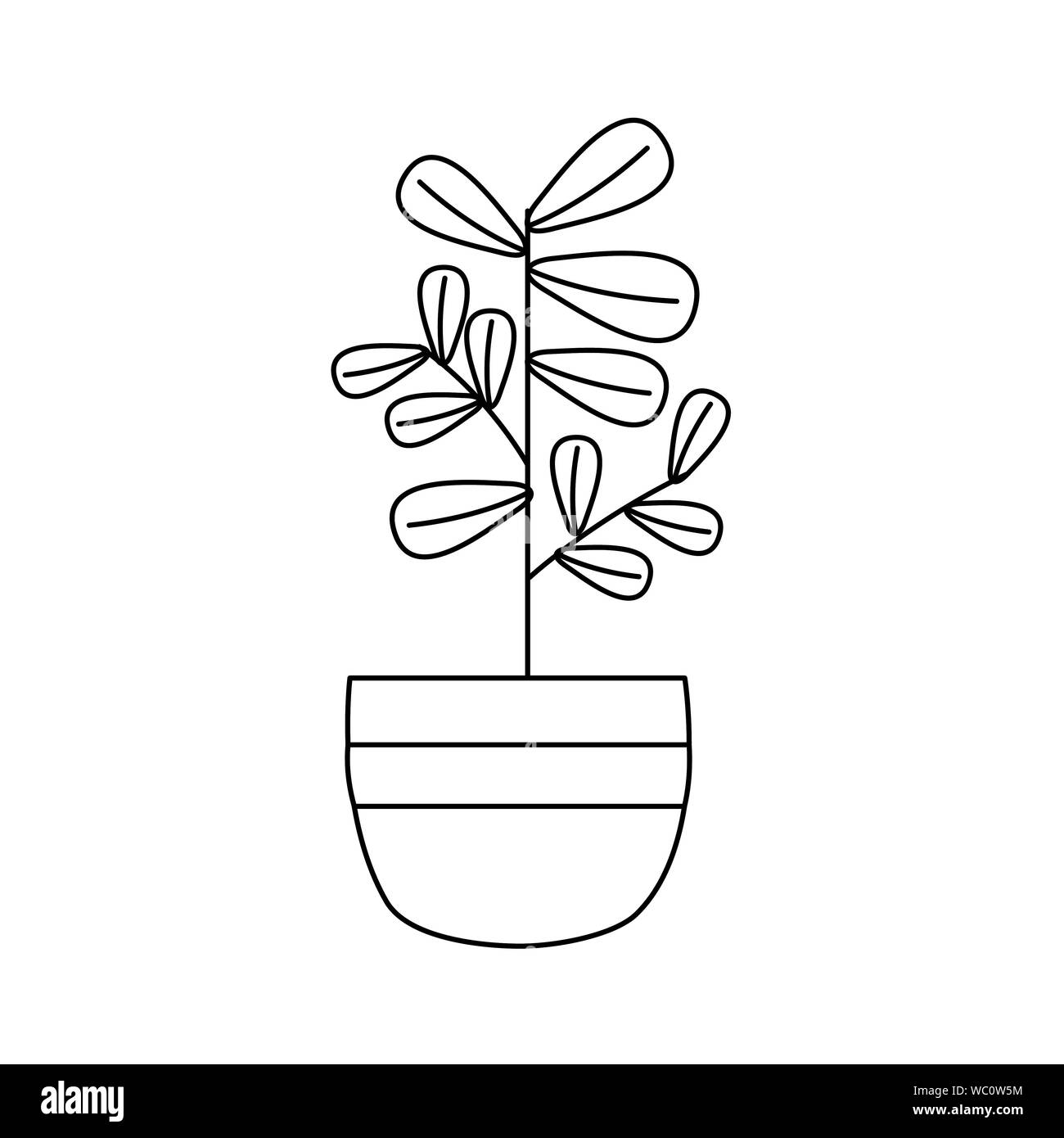 Isolated plant inside pot vector design Stock Vector Image & Art - Alamy