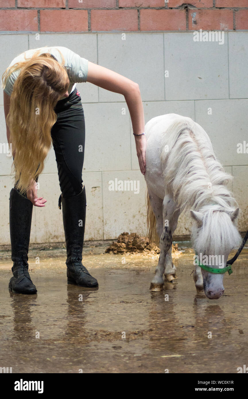 Young Woman Pampering Foal Stock Photo