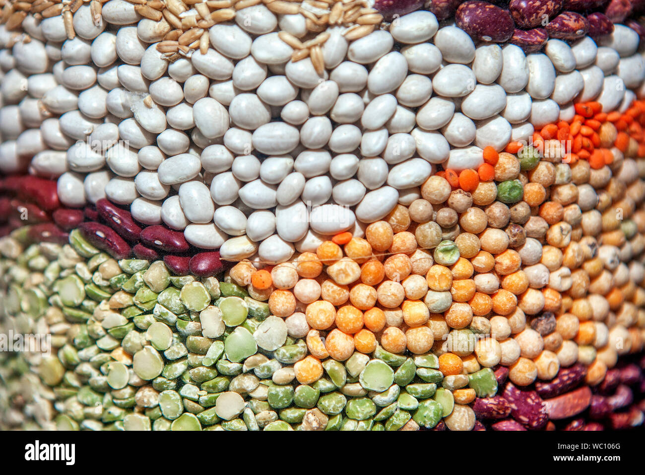 Different vegetable seeds hi-res stock photography and images - Alamy