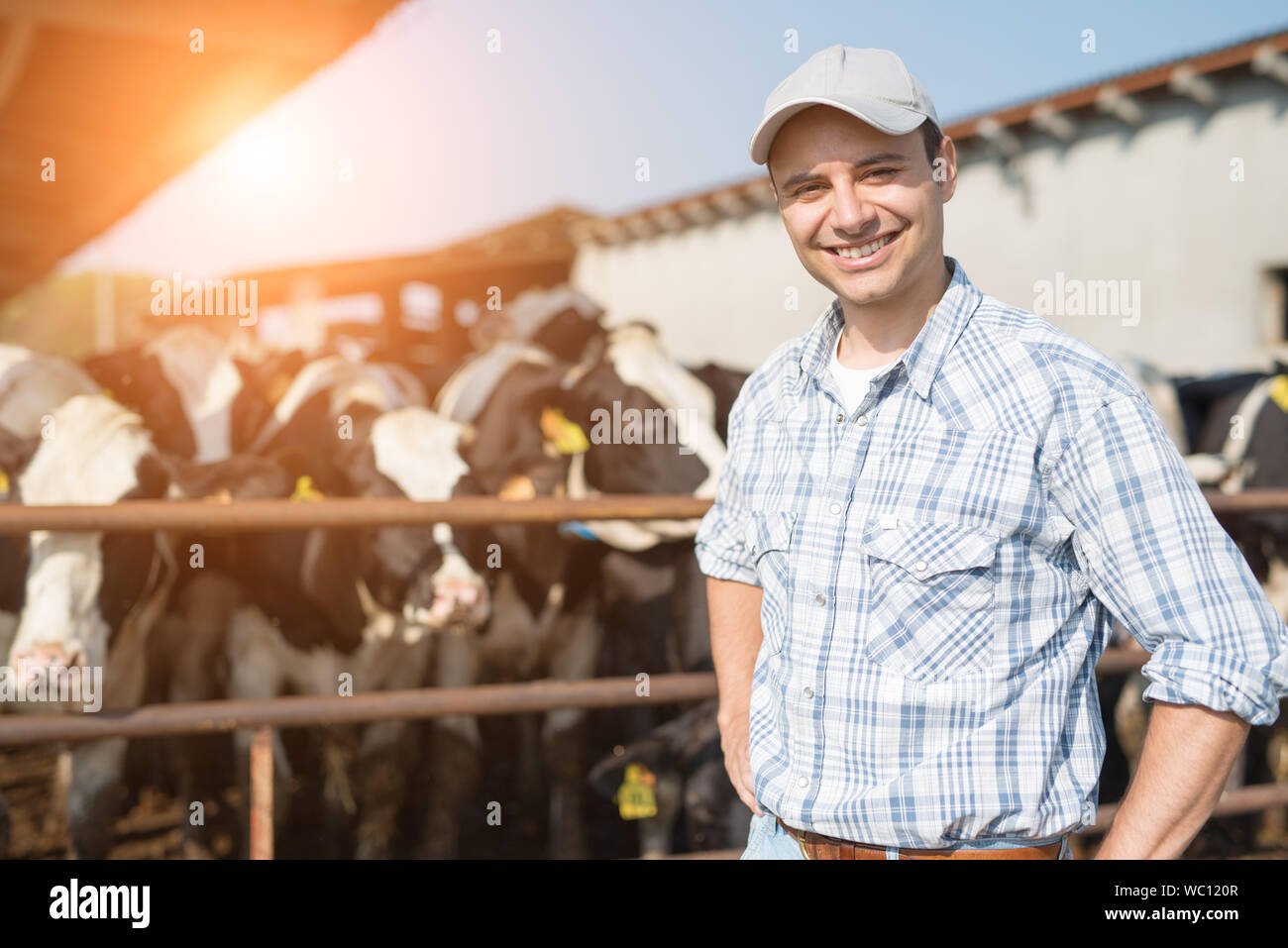 Breeder in front of his cows Stock Photo - Alamy
