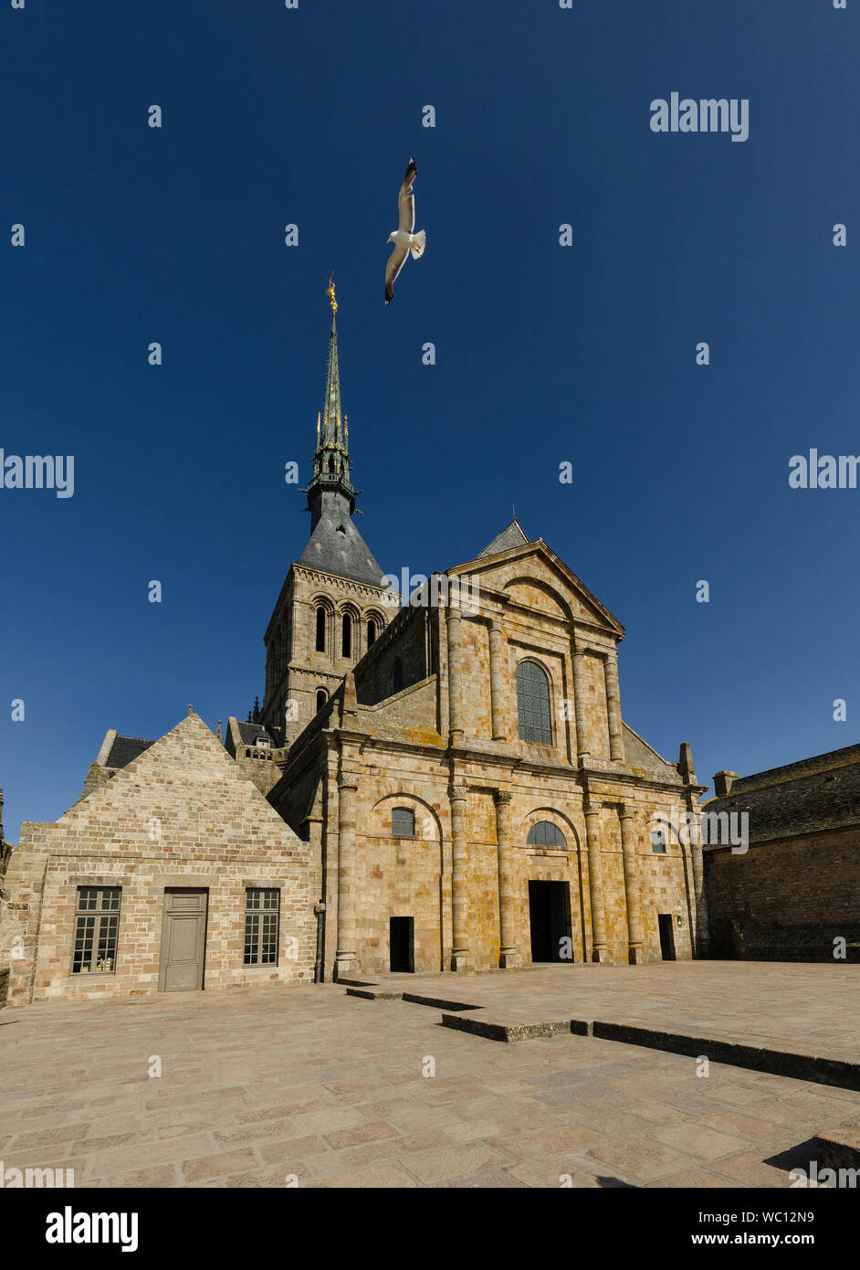 Mont saint Michel facade with a seagull Stock Photo