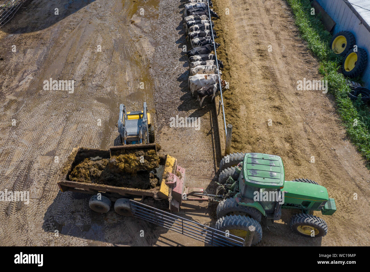 Three Oaks, Michigan A farmer on a small, third generation dairy farm