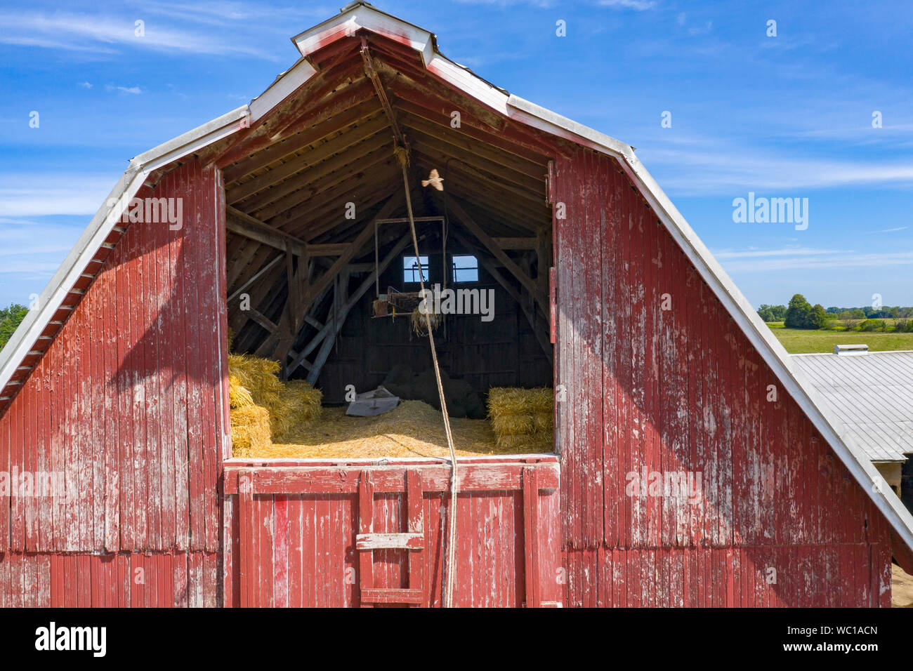 Three Oaks, Michigan The barn on a small, third generation dairy farm