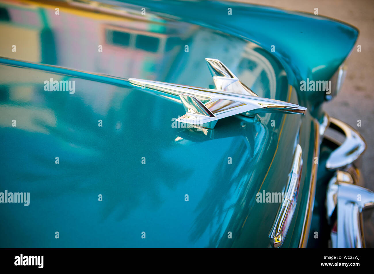 MIAMI JANUARY 2, 2018 Palm trees and Art Deco architecture reflect