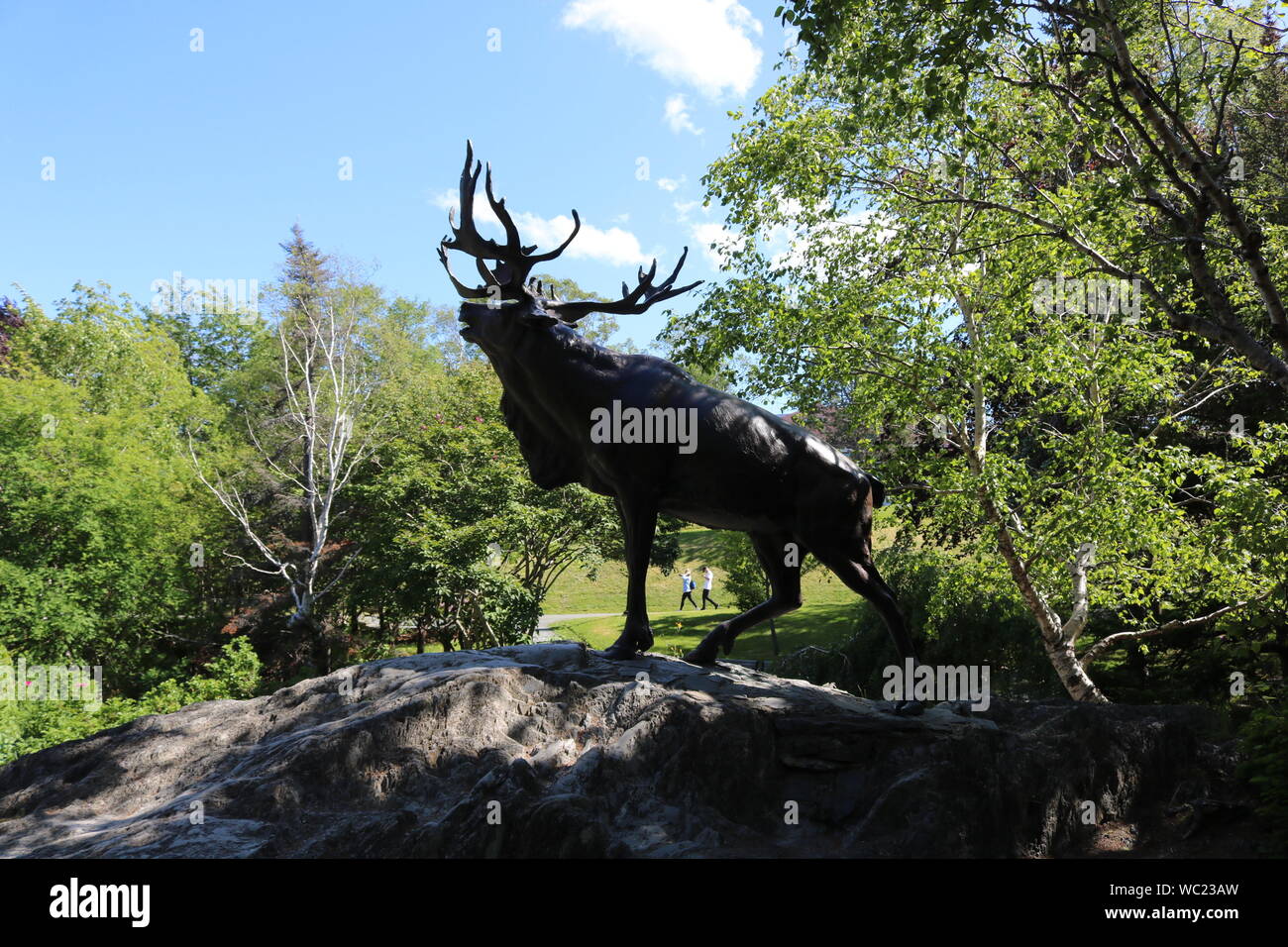 A Proud-Looking Caribou Monument in Bowring Park.. The Monument is a memorial to the men who fought with the Newfoundland Regiment. Stock Photo