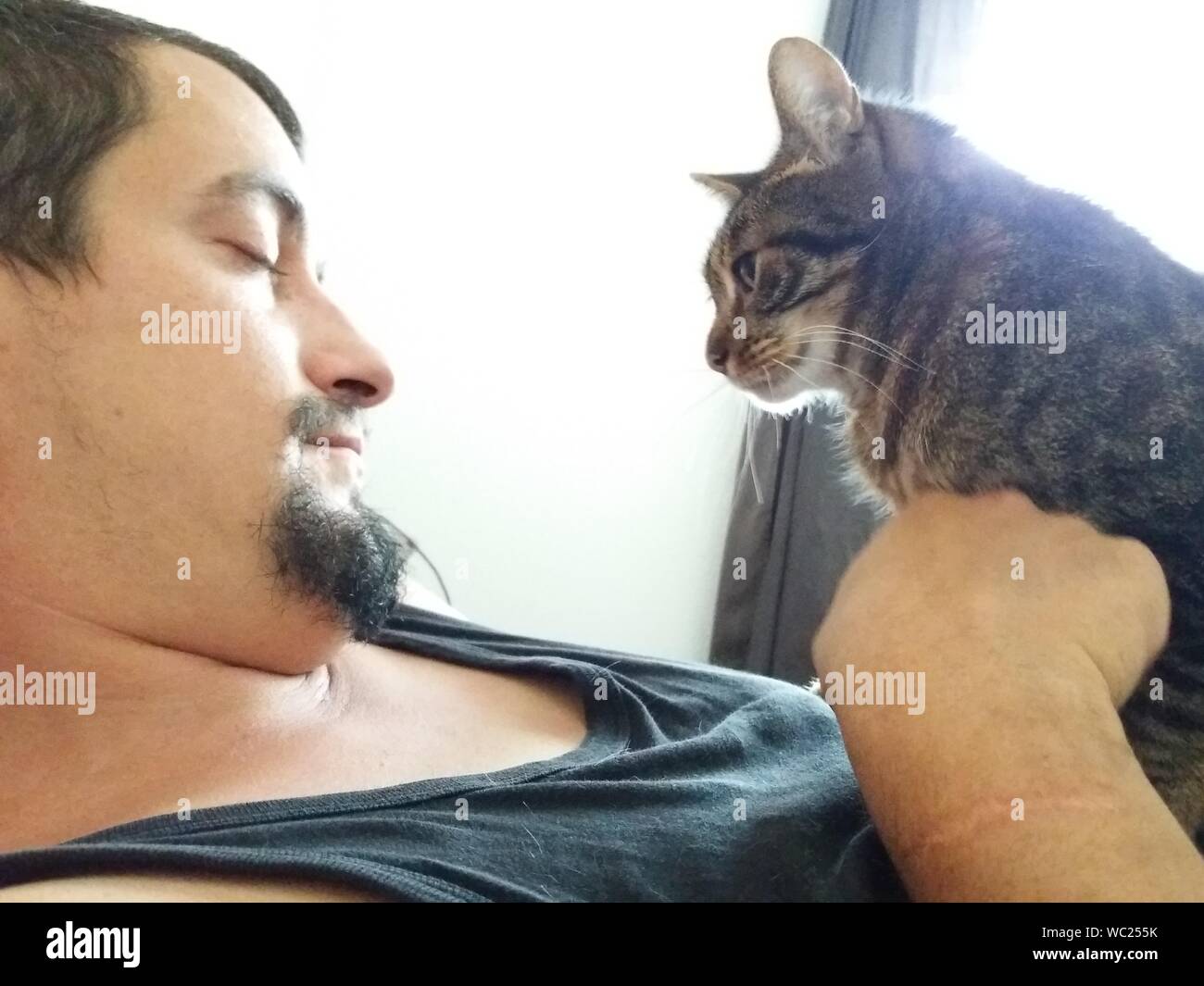 Sleeping man sleeping cat hires stock photography and images Alamy