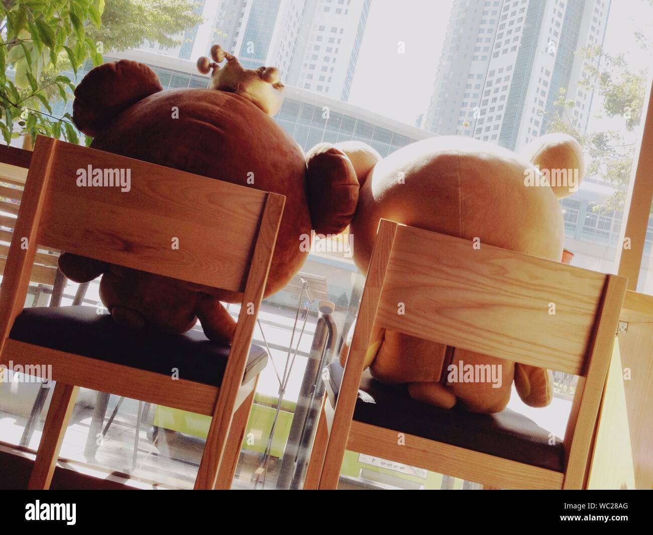 chairs for teddy bears