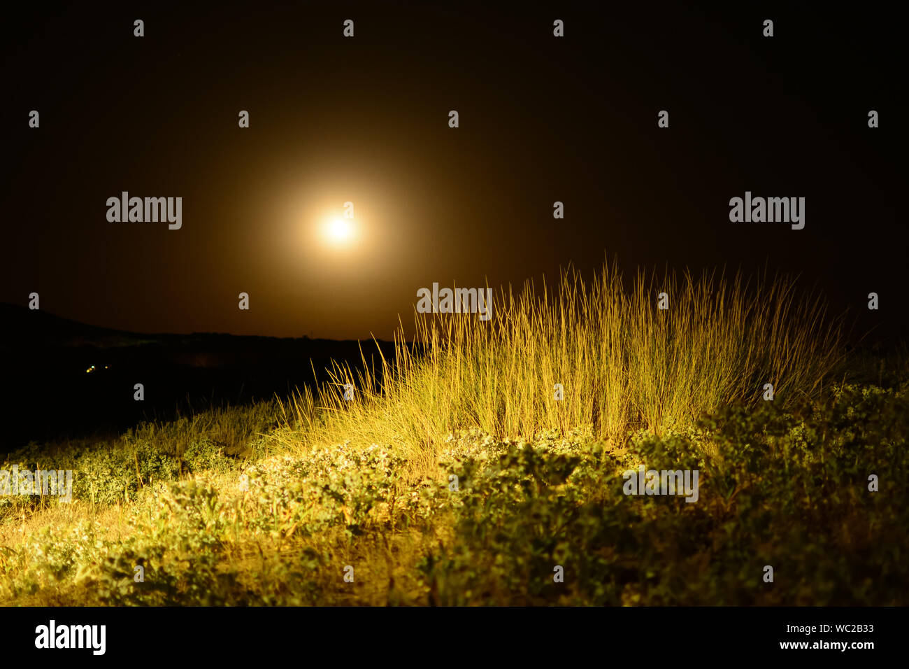 Long grass field night hires stock photography and images Alamy