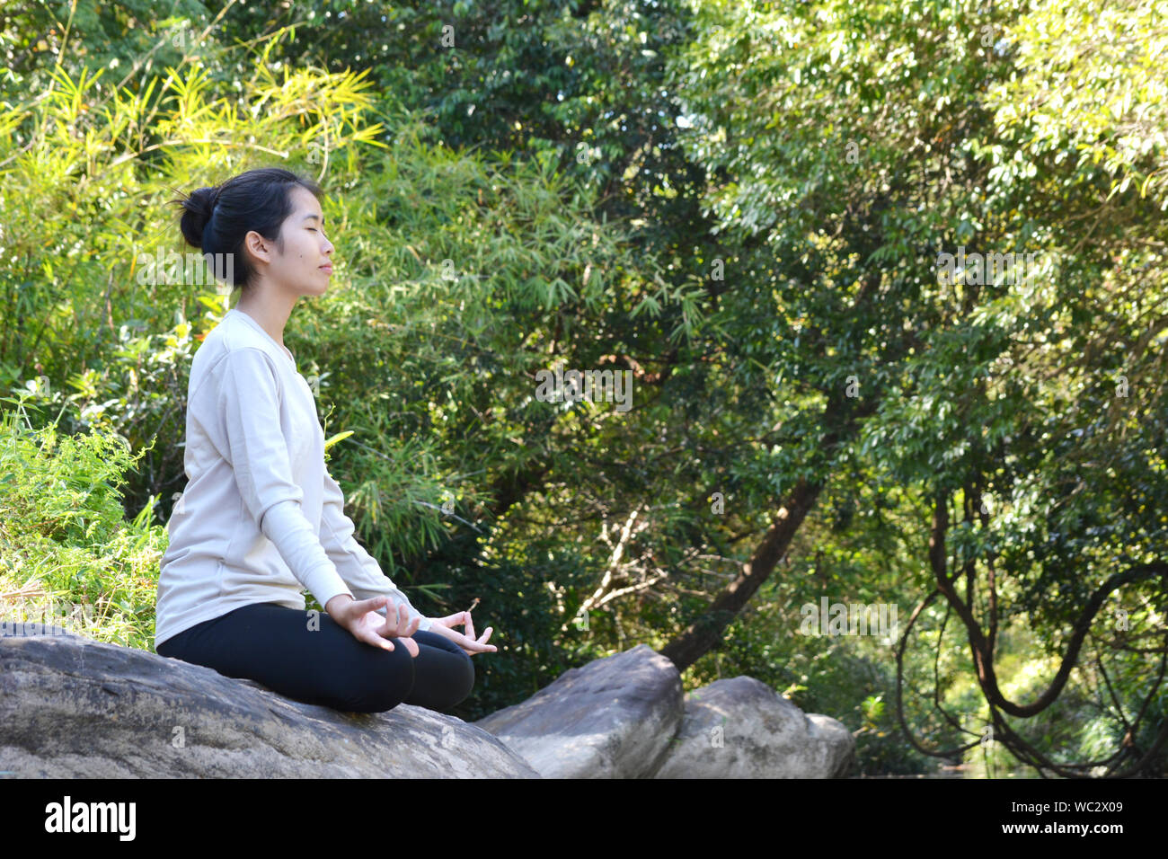 Side View Of Woman Practicing Lotus Position On Rock Against Plants Stock Photo