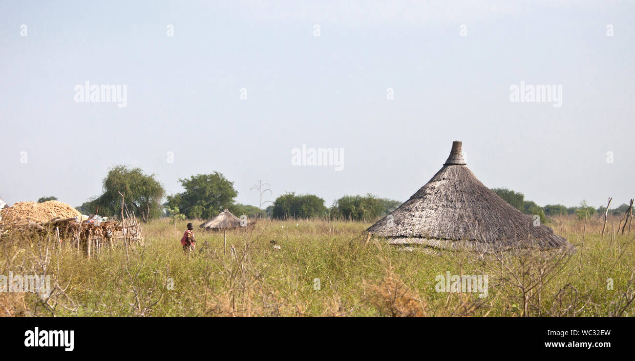 Constructing a traditional type hut at Malakal, Southern Sudan - South  Sudan. Finished huts in the background Stock Photo - Alamy