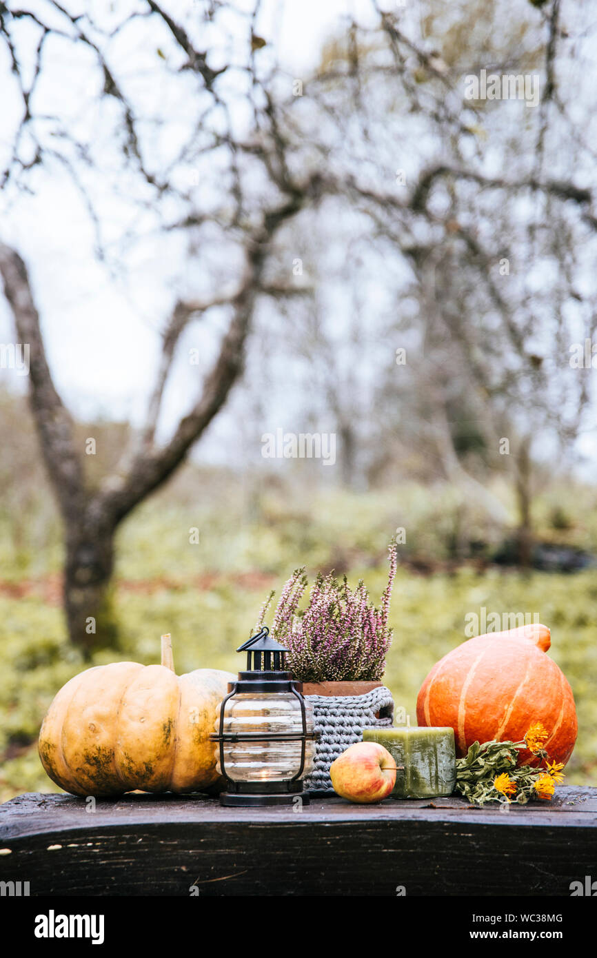 Autumn background with lantern, pumpkins, apple and heather flower in crochet pot outdoors in dark autumn day. Stock Photo