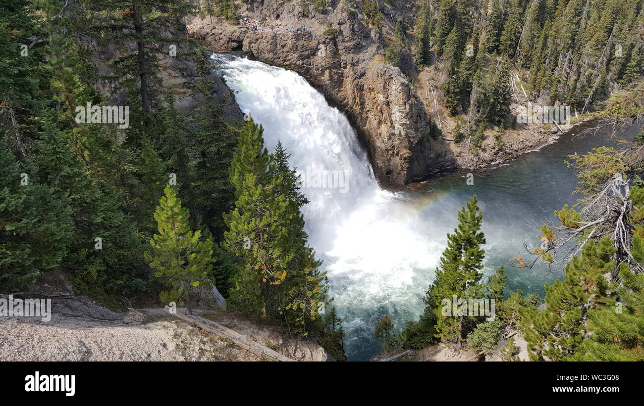 The power an majesty of Yellowstone's Waterfall on a gorgeous summer day. Stock Photo