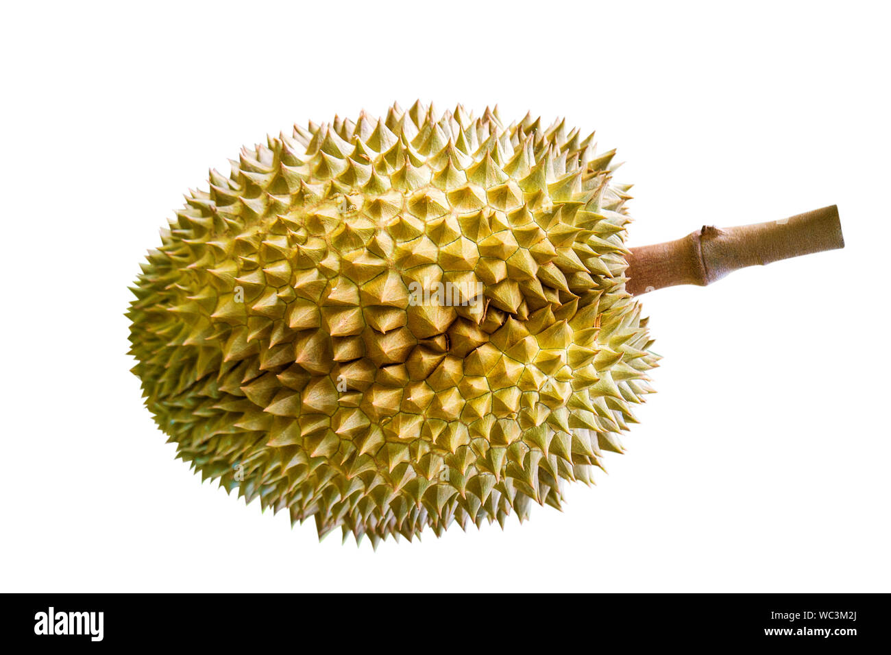Close-up Of Spiky Fruit Against White Background Stock Photo