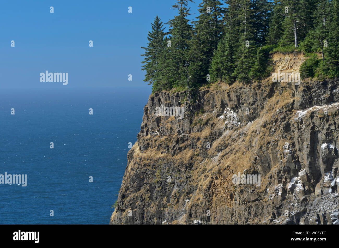 Dramatic cliffs encircle Cape Meares, Oregon, here seen from the Cape Meares Lighthouse. Stock Photo