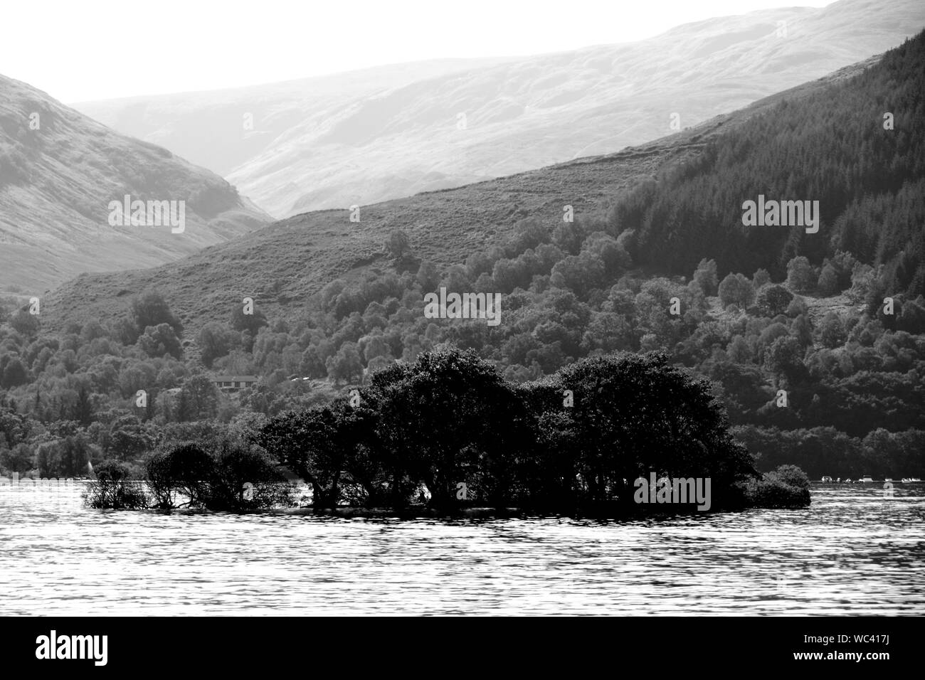 One of the many islands on Loch Lomond at Rowardennan Stock Photo