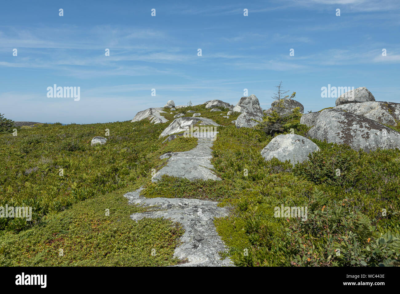 A walking trail is pictured near the Swissair Memorial near Peggy’s