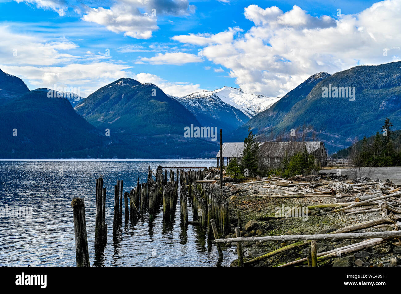 Decaying wood pilings, Britannia Beach, Howe Sound, British Columbia, Canada Stock Photo