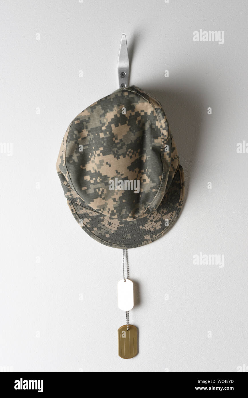 A set of military dog tags and field cap hanging from a hook on a blank wall. Stock Photo
