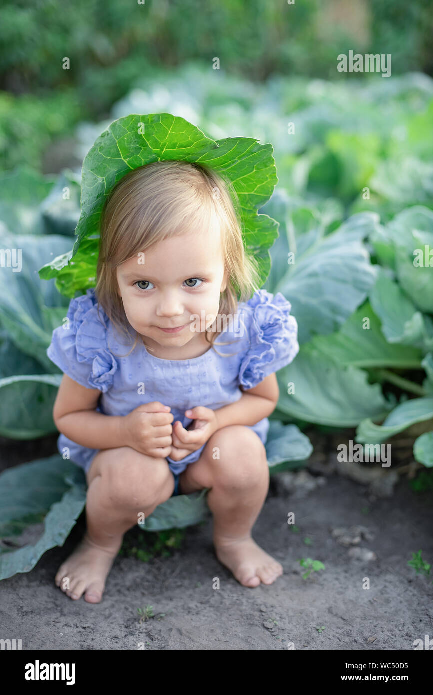 Baby sitting in cabbage plant. Cute little girl on cabbage field