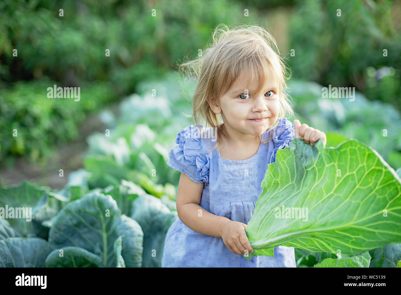 Baby sitting in cabbage plant. Cute little girl on cabbage field