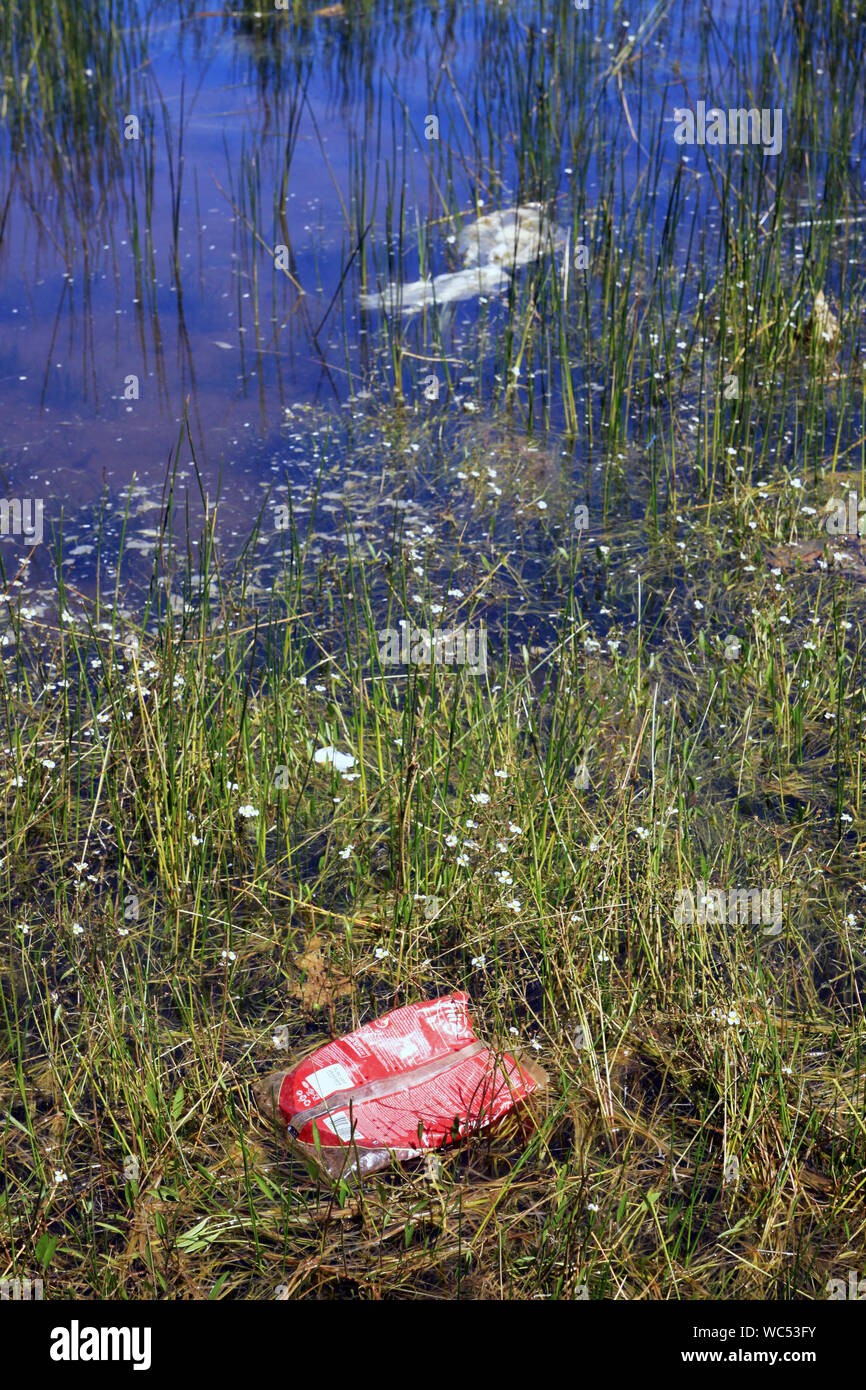 Water Pollution in a lake Stock Photo Alamy