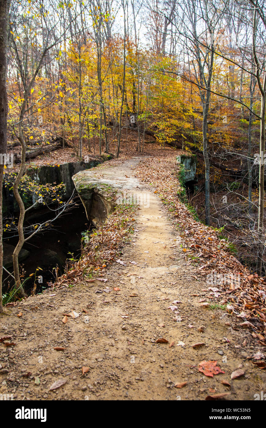 Rockbridge, Rockbridge State Nature Preserve, Ohio Stock Photo Alamy