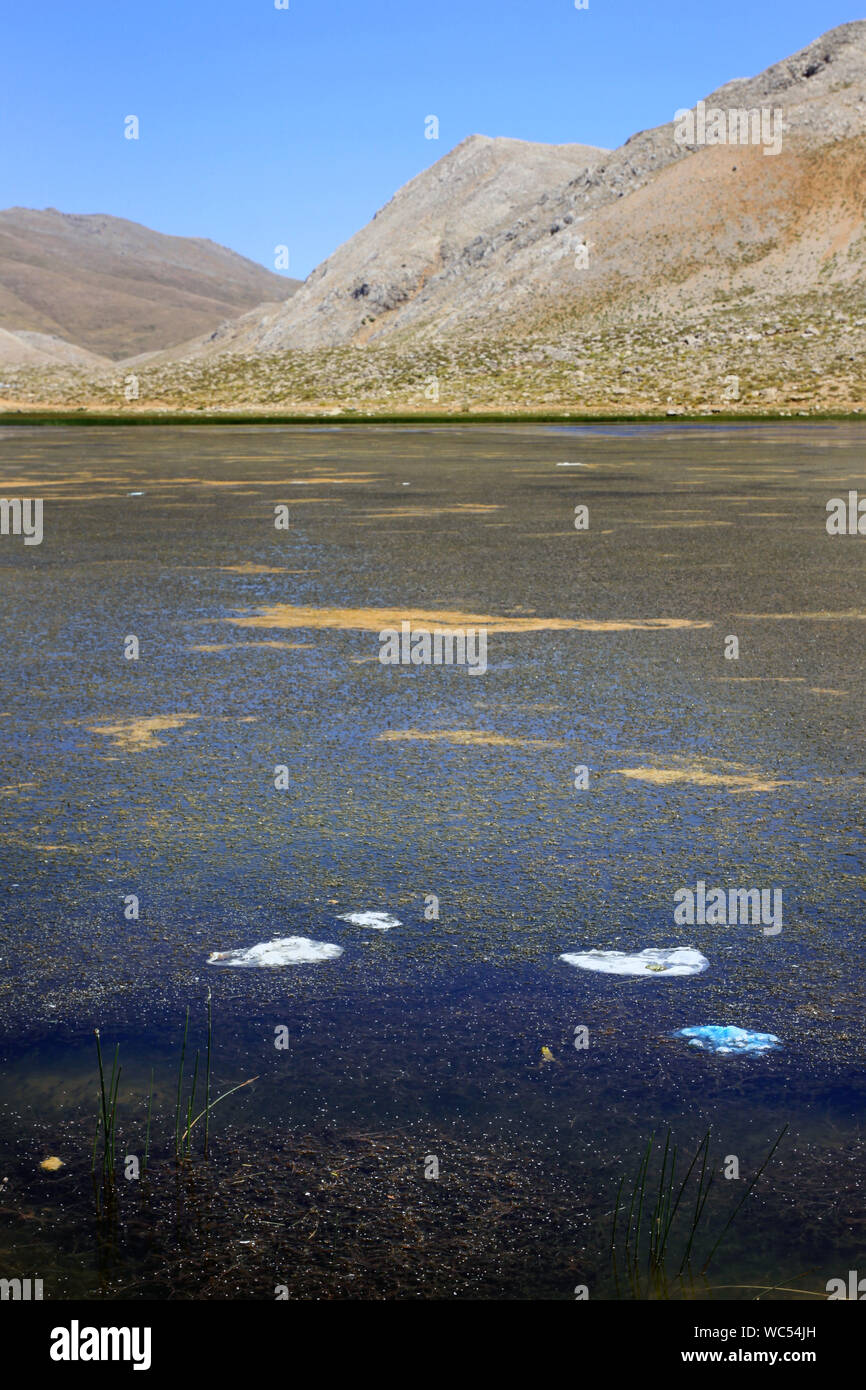 Water Pollution in a lake Stock Photo Alamy
