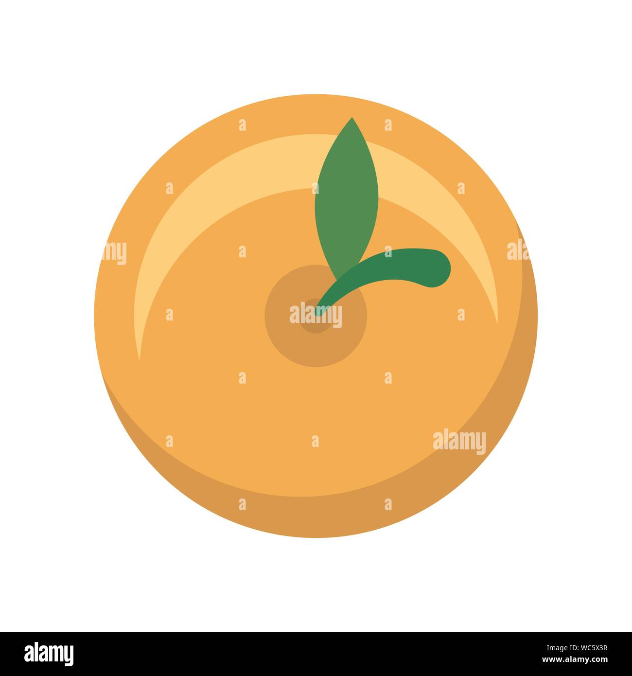 Isolated orange fruit vector design Stock Vector Image & Art - Alamy