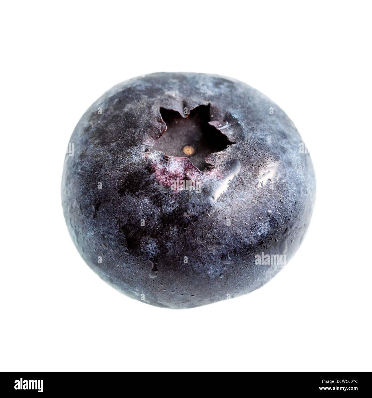 fresh blueberry isolated on white background Stock Photo