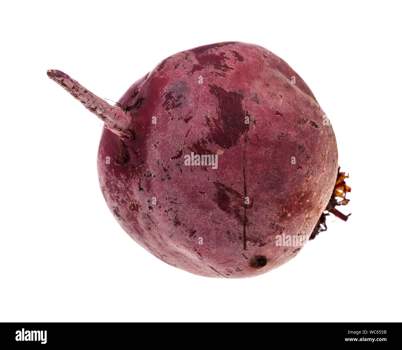 single ripe organic garden beetroot isolated on white background Stock Photo