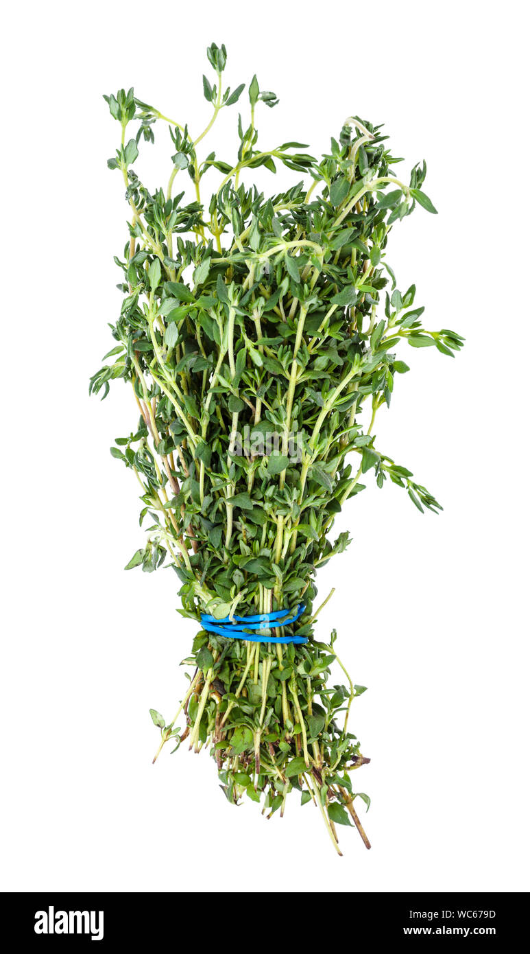 bunch of fresh thyme herb isolated on white background Stock Photo Alamy