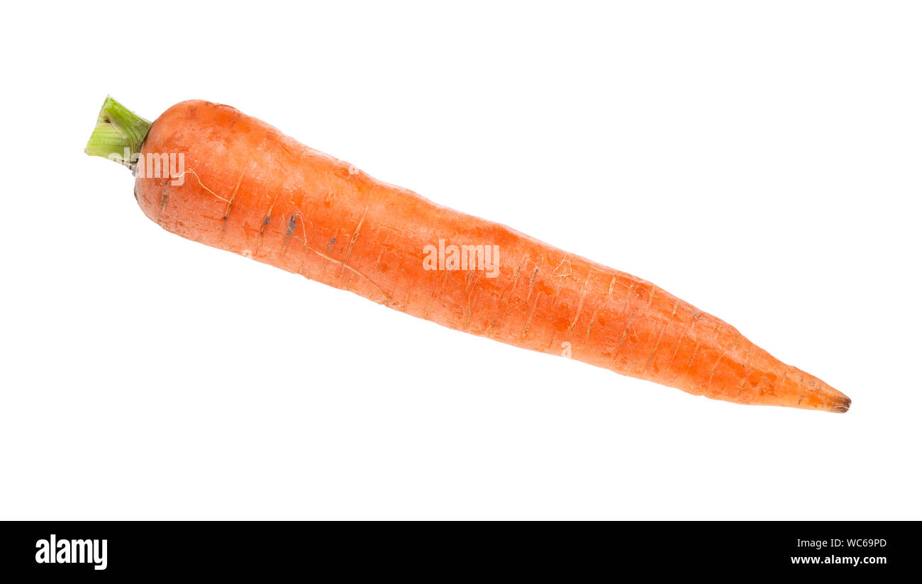 single fresh organic garden carrot isolated on white background Stock Photo