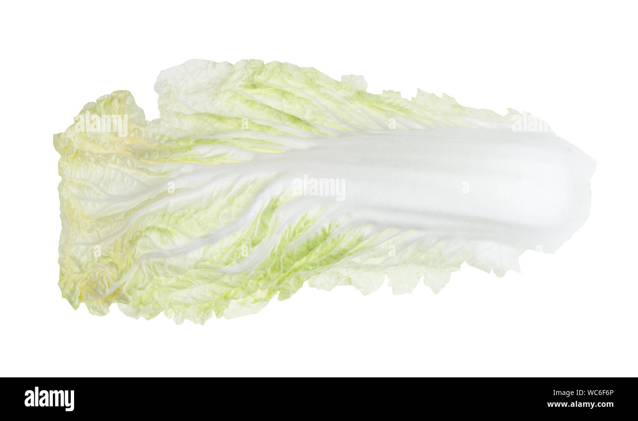 fresh leaf of Napa cabbage isolated on white background Stock Photo