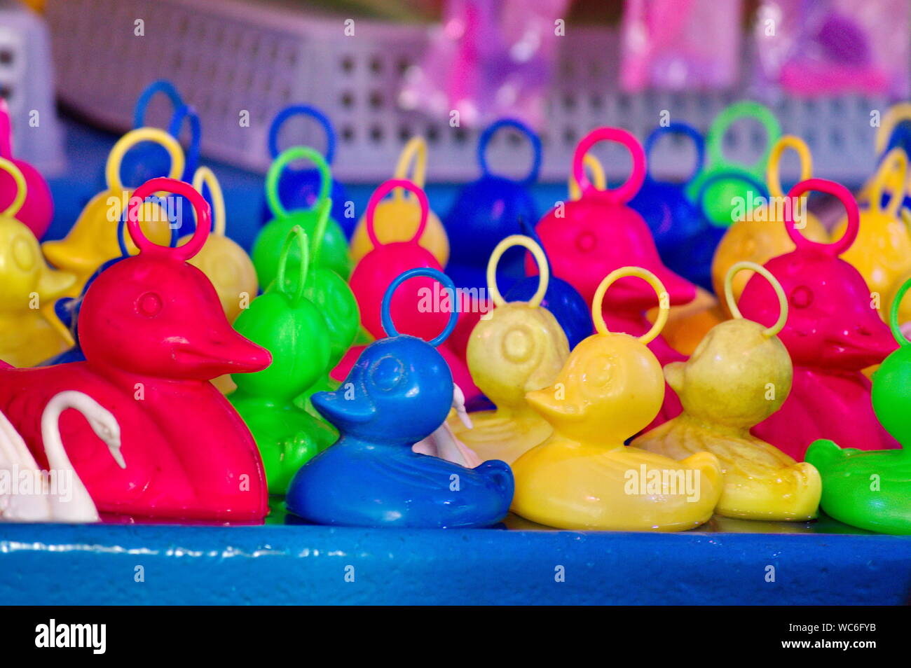 toy ducks for sale
