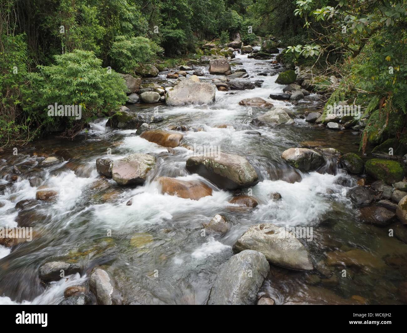 Tropical rainforest and jungle river or stream flowing fast with white water inthe forest near Boquete in Panama. Close to Wendys water falls. Stock Photo