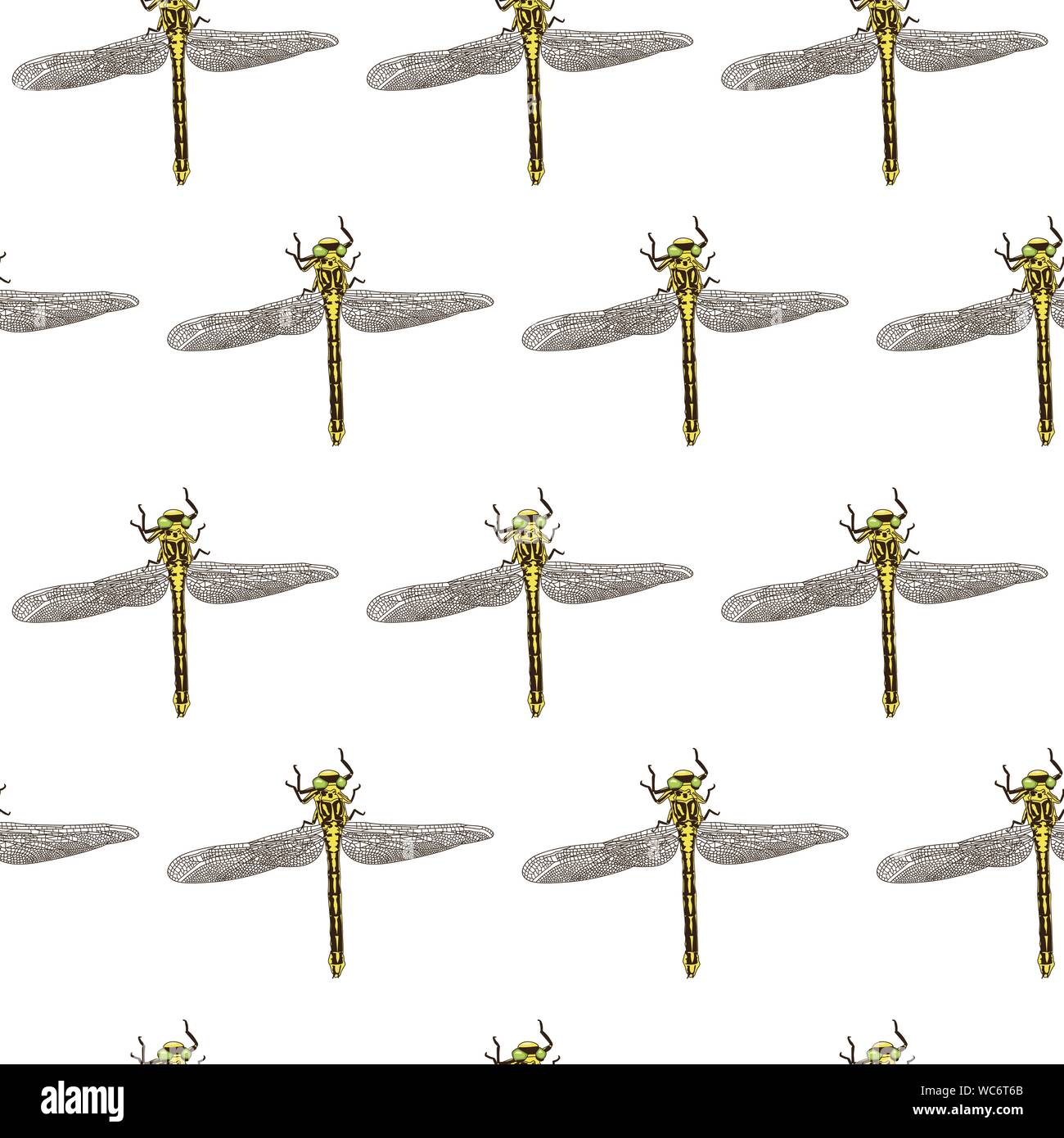 Hand-drawn dragonfly vector illustration seamless pattern Stock Vector ...