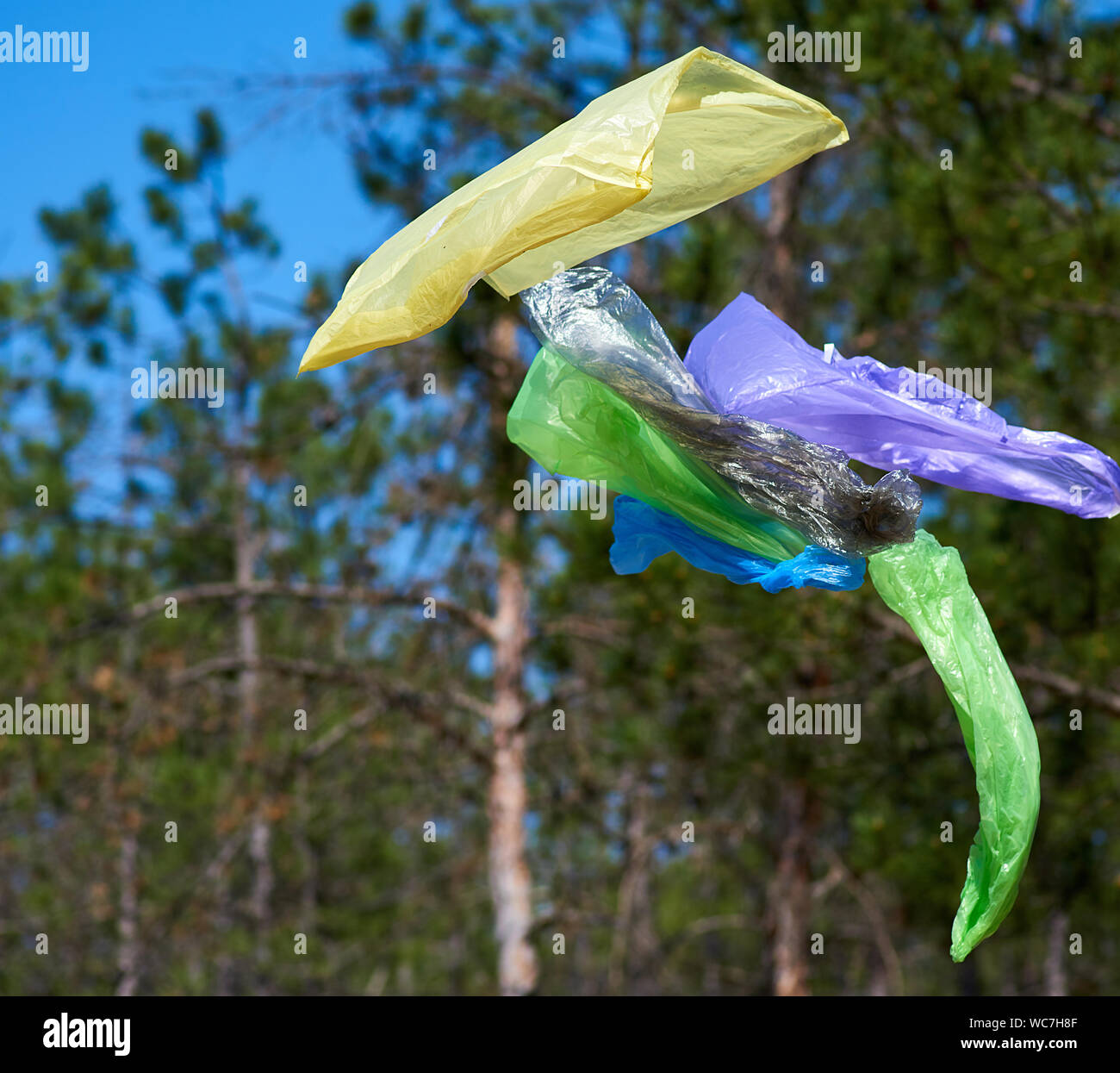 empty garbage plastic bags fly in the forest on a summer day, environmental pollution concept Stock Photo