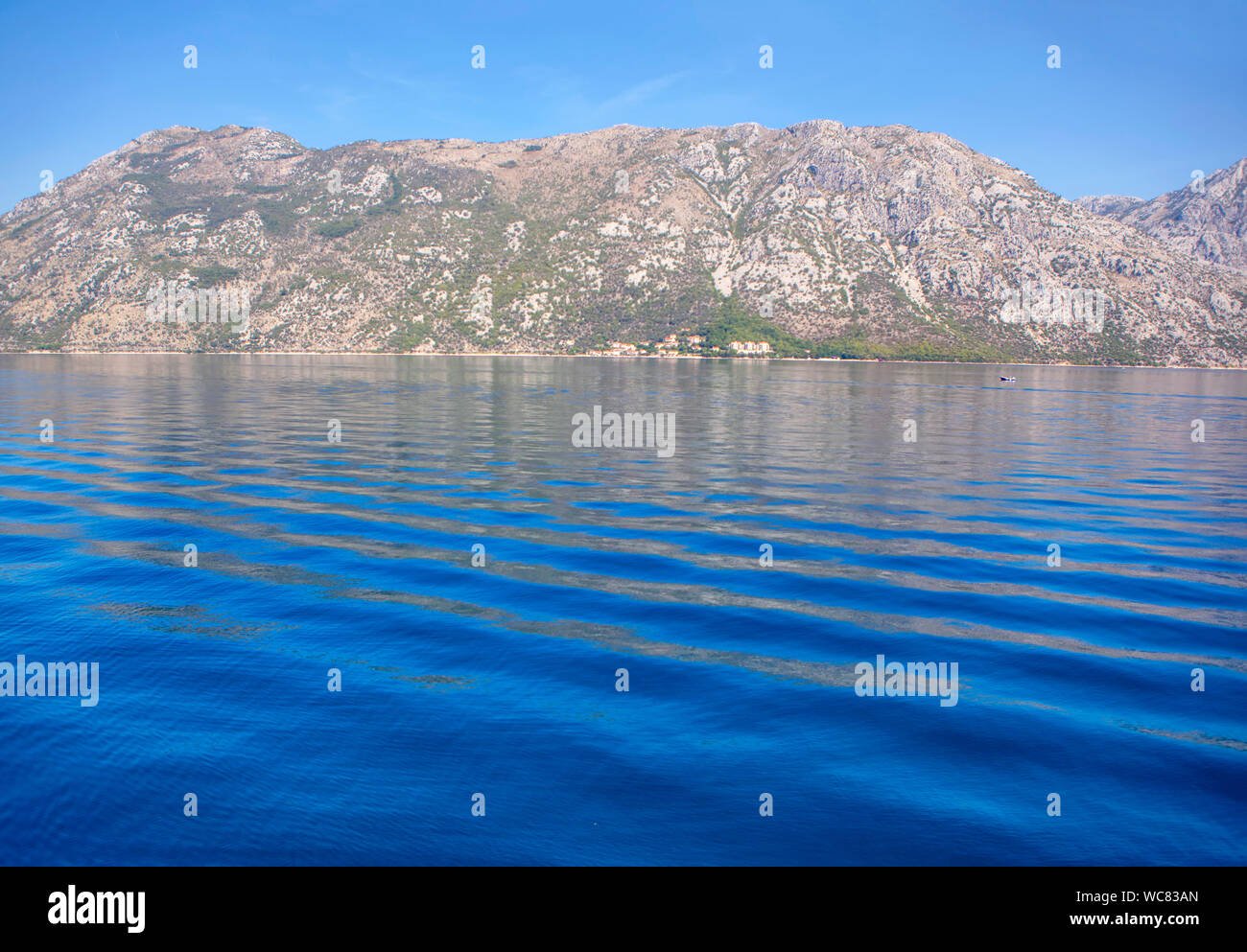 Beach forest coastal hills hi-res stock photography and images - Alamy