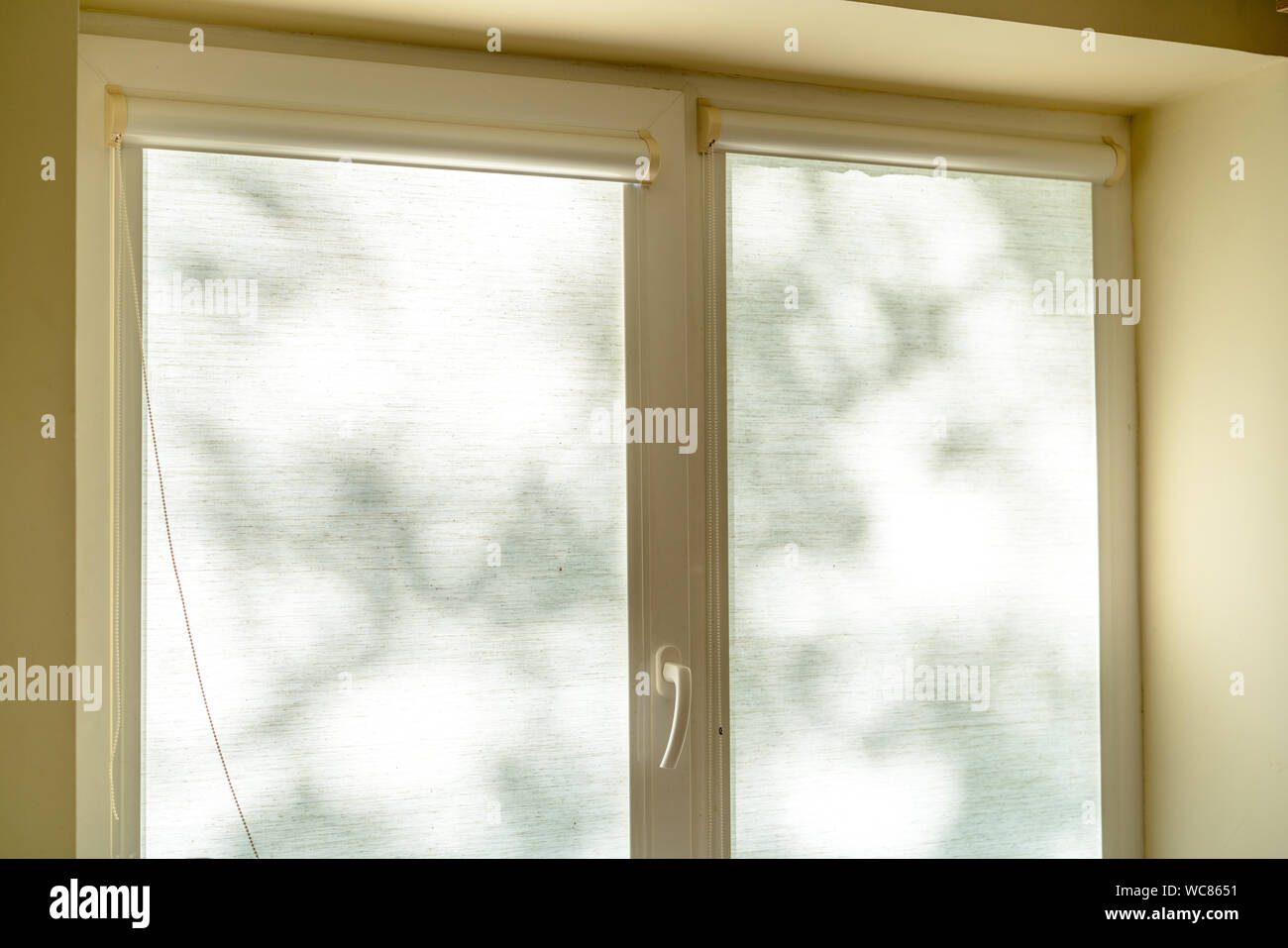 light color fabric roller blinds on window in kitchen Stock Photo
