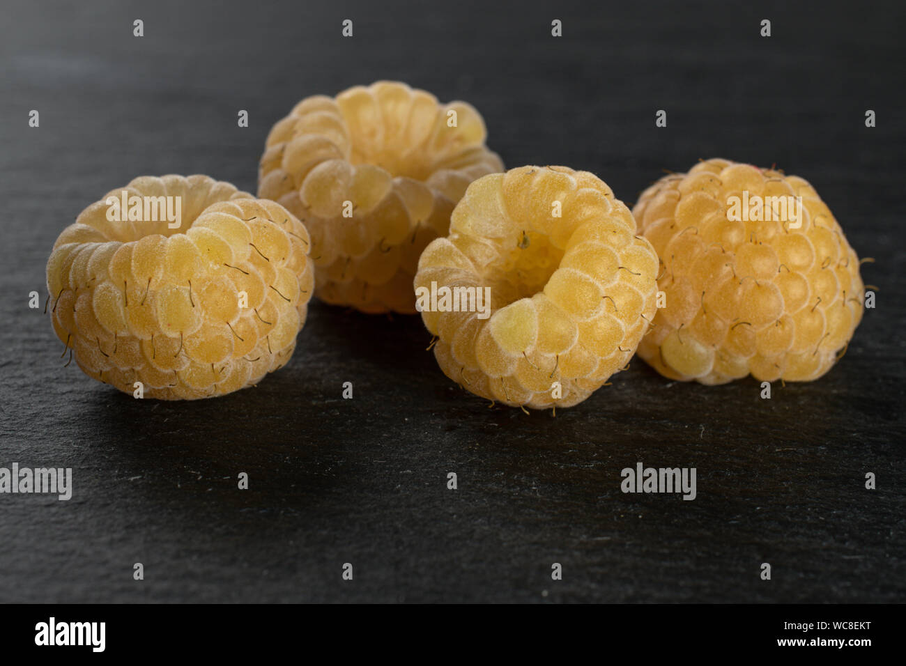 Rubus ellipticus hi-res stock photography and images - Alamy