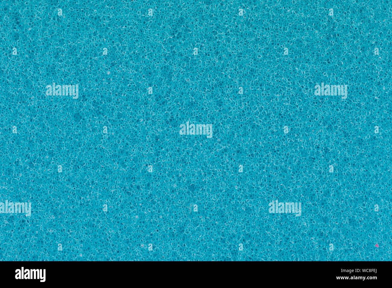 Blue cleaning kitchen sponge macro isolated Stock Photo