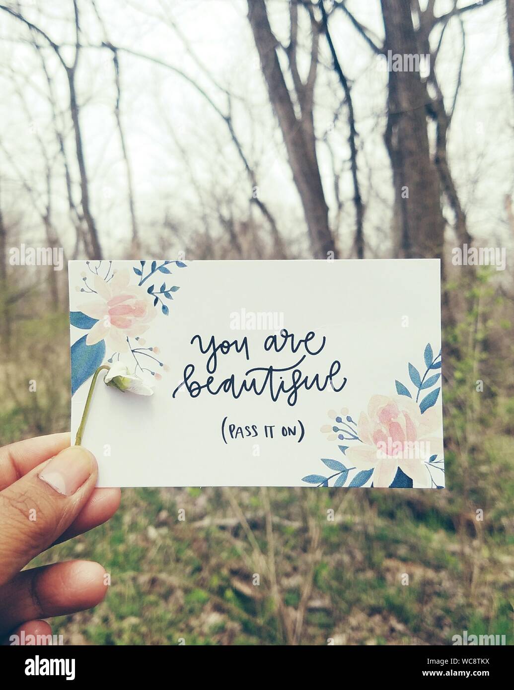 Close-up Of Cropped Hand Holding Greeting Card With Message At Forest Stock Photo
