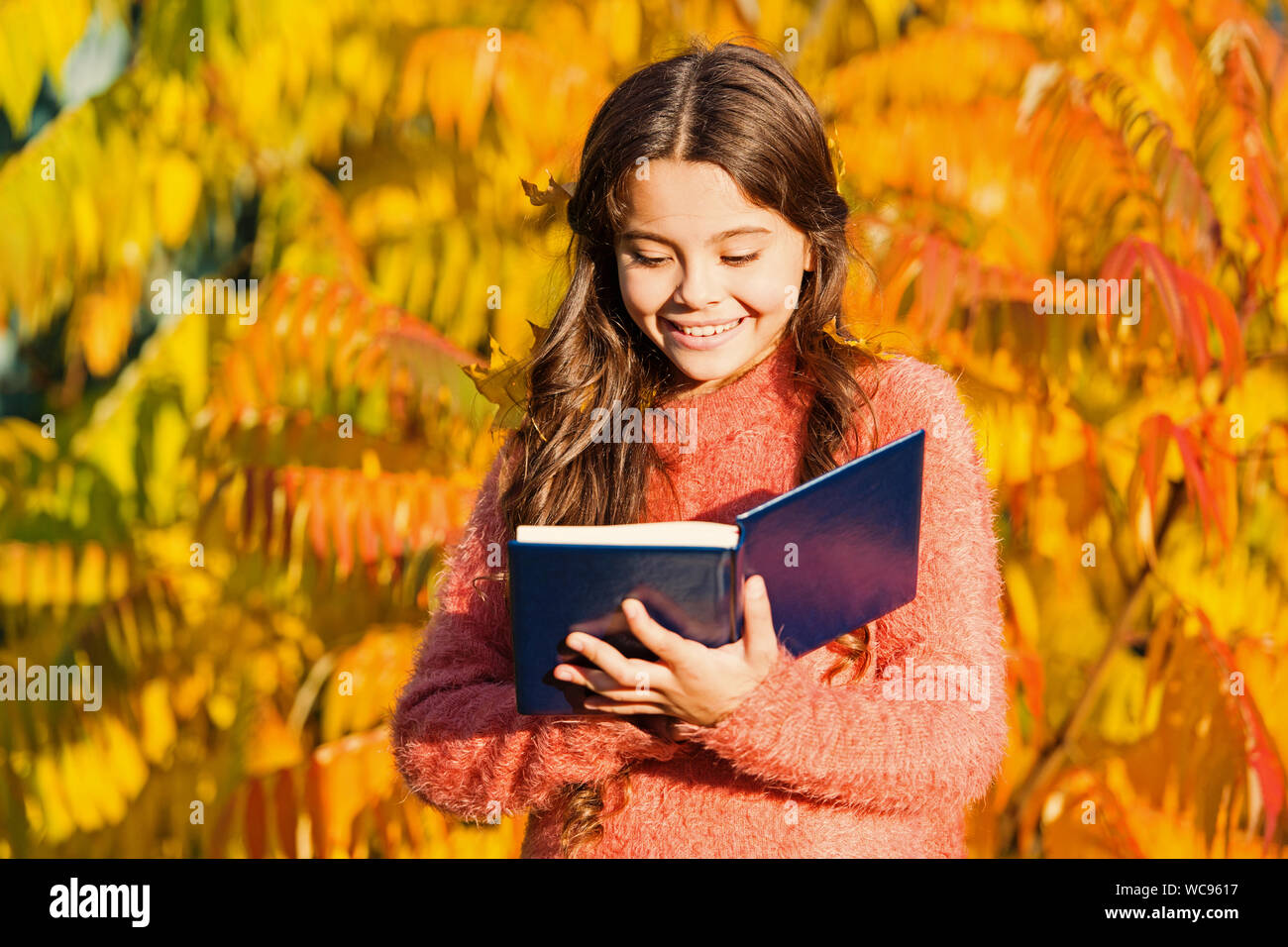 There is no end to education. Small child read book on autumn day. Small child enjoy reading on autumn landscape. Even little children looking at a picture book are using their imagination. Stock Photo