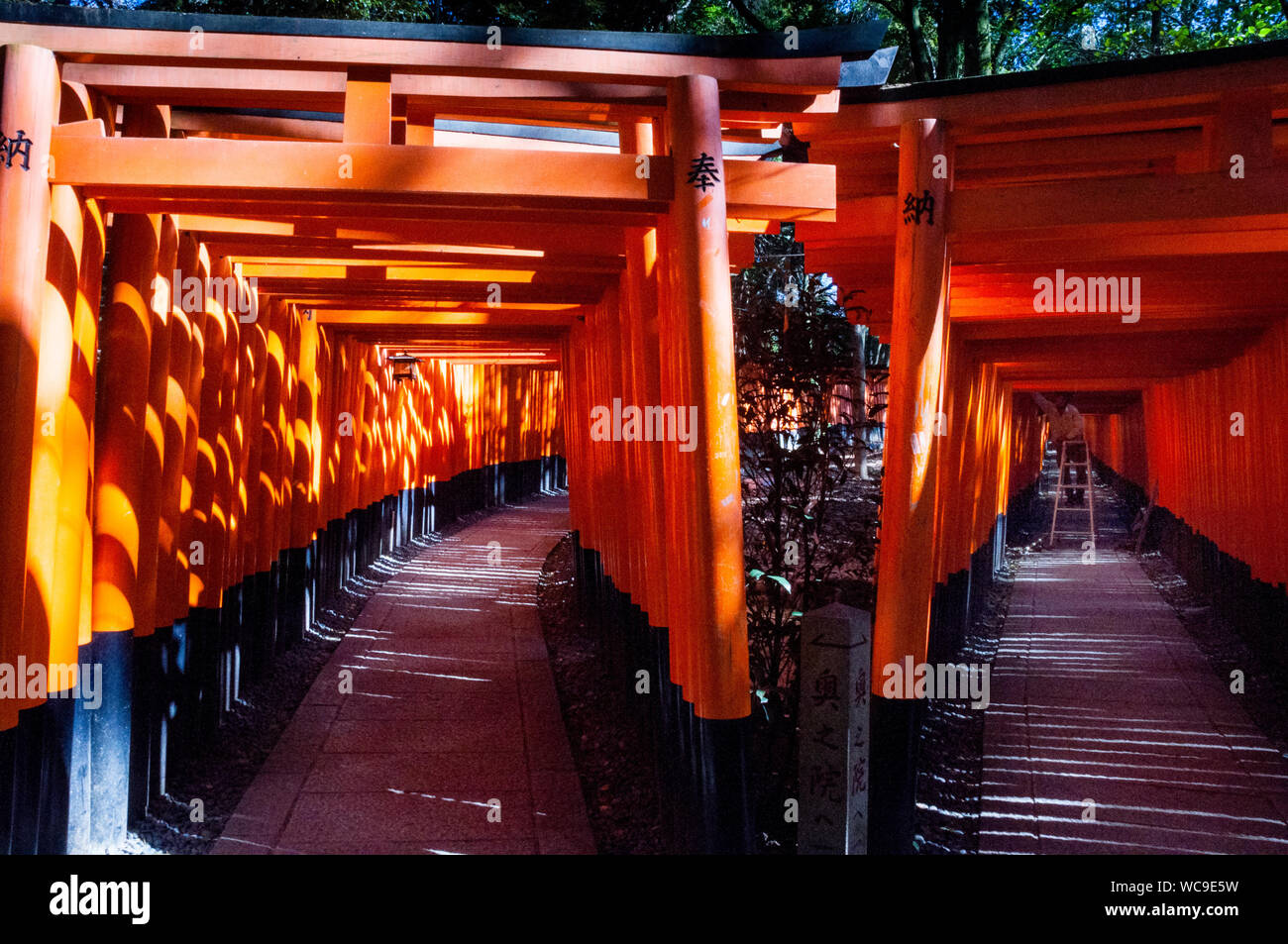 Turnaround On The Senbon Torii Path At Fushimi Inari Taisha Shrine In Kyoto Japan Where There Are 1 000 Donated Torii Up And Down Inari Mountain Stock Photo Alamy Turnaround On The Senbon Torii Path At Fushimi Inari Taisha Shrine In Kyoto Japan Where There Are 1 000 Donated Torii Up And Down Inari Mountain Stock Photo Alamy