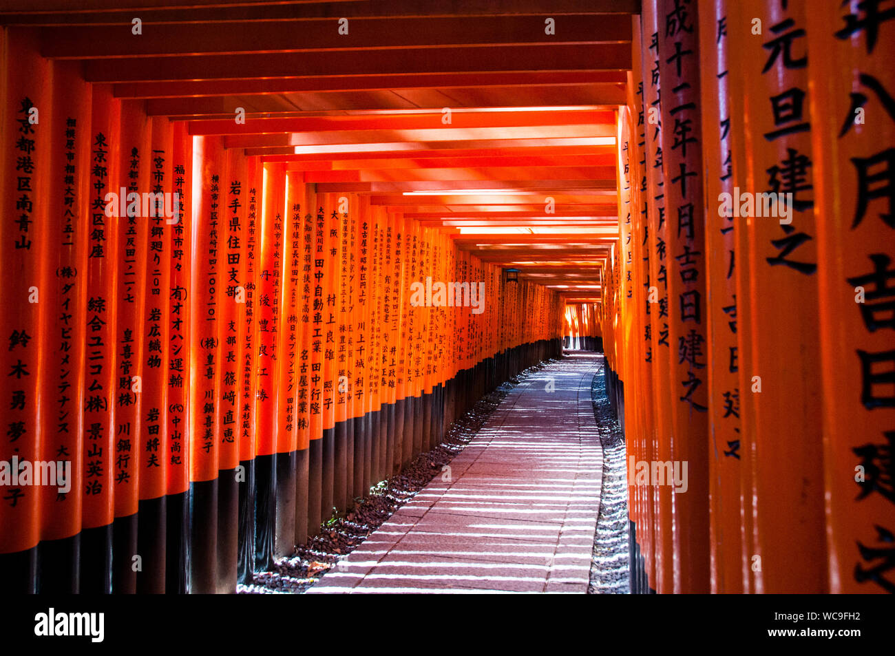 Senbon Torii Path At Fushimi Inari Shinto Shrine In Kyoto Japan Where Over 1 000 Torii Have Been Donated Stock Photo Alamy Senbon Torii Path At Fushimi Inari Shinto Shrine In Kyoto Japan Where Over 1 000 Torii Have Been Donated Stock Photo Alamy