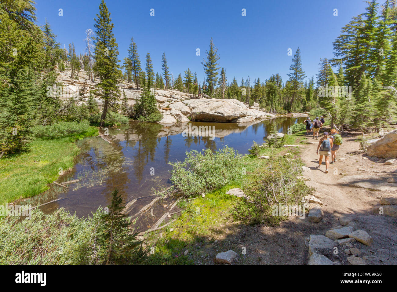 People hiking next to a pond in the Sierra Nevada mountains, California, USA. The pond is clear, reflecting green trees and blue sky. Copy space. Stock Photo