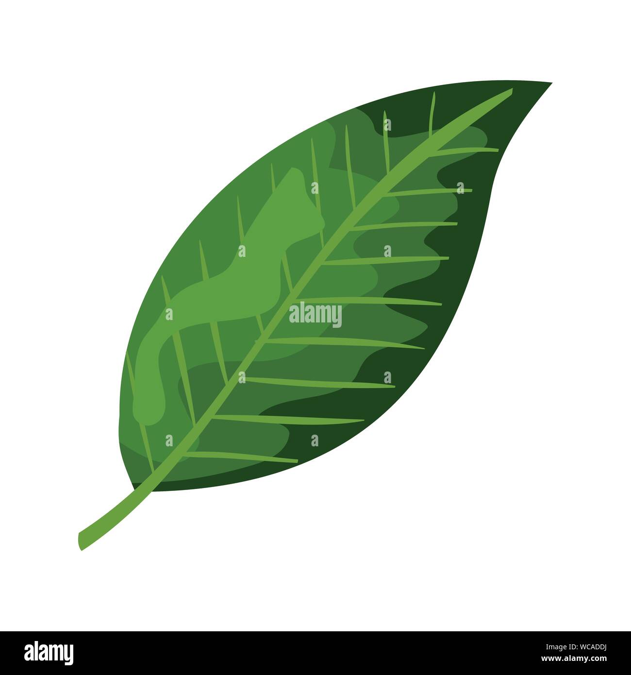 ecology leaf plant isolated icon Stock Vector Image & Art - Alamy