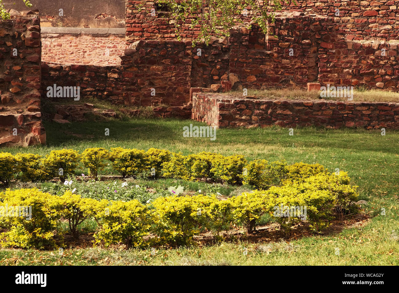 Plants Growing On Field By Stone Wall At Historic Place Stock Photo - Alamy