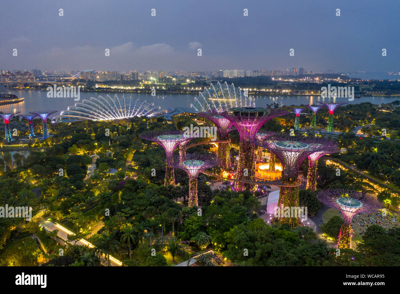 Gardens by the Bay illuminated at night taken with a drone in Singapore